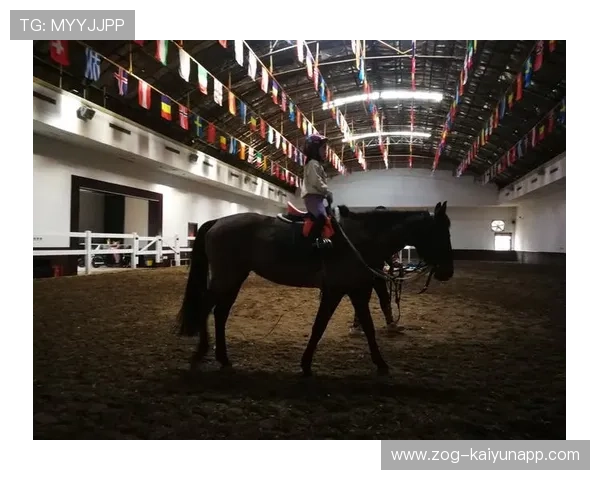 比利时马术协会推出马术运动员心理辅导项目，提升竞技表现。，比利时马犬介绍资料