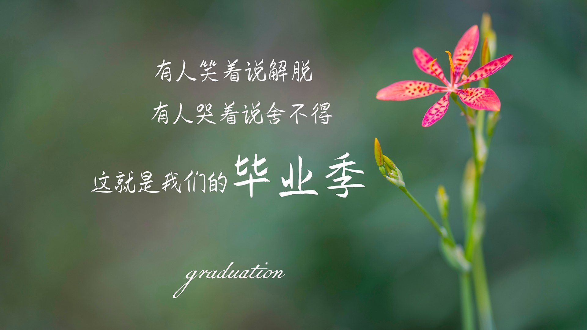 新闻中心完成核心技术突破，新闻中心完成核心技术突破工作