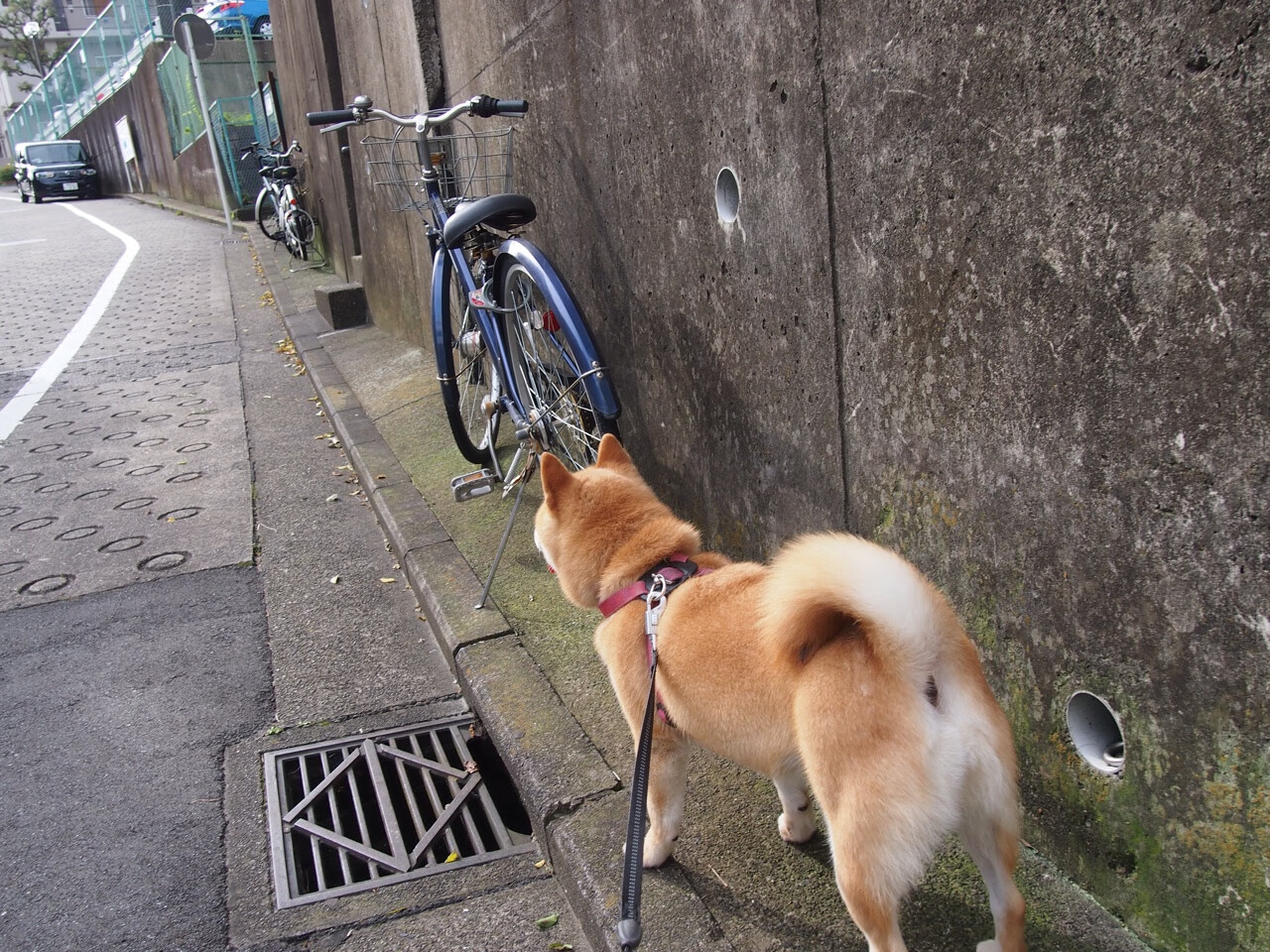 开yun官网-中国女篮在技术会议上积极讨论战术细节，中国女篮战术分析