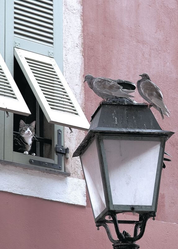 中国女篮积极总结比赛经验，中国女篮分析