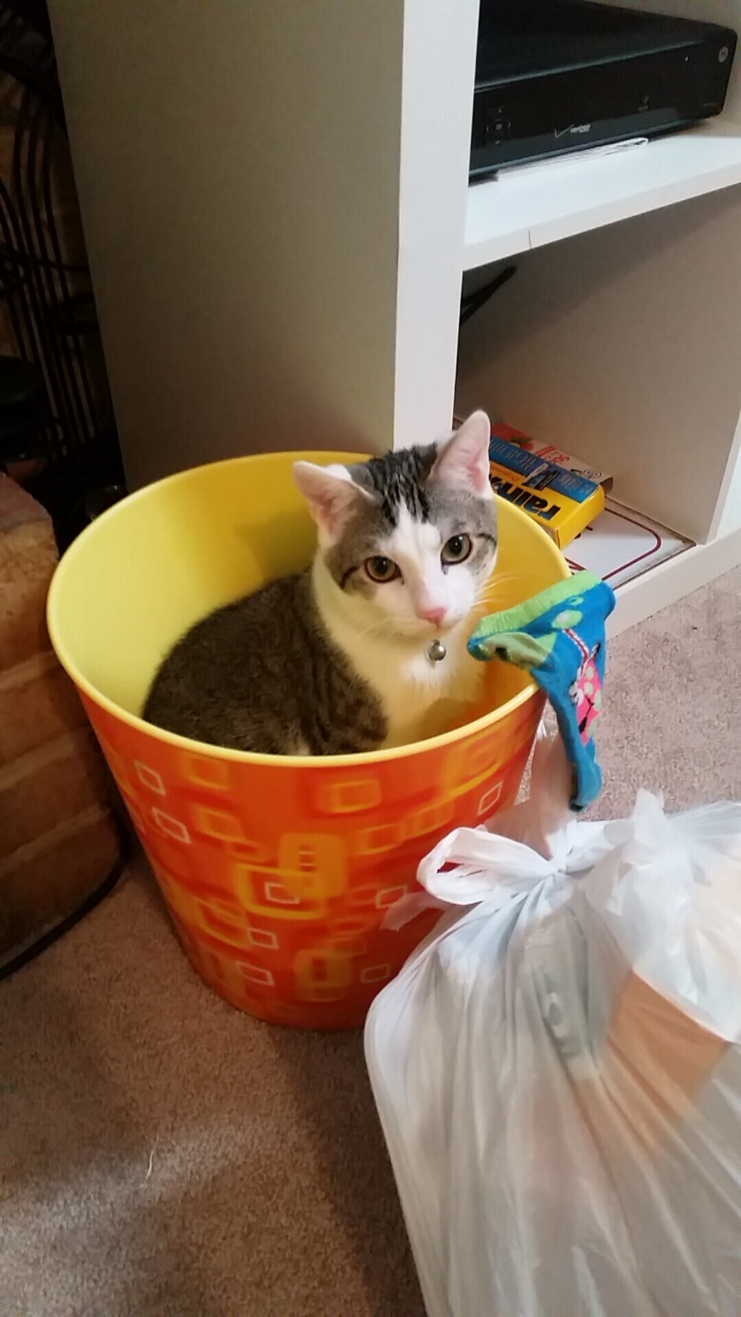 体育新闻中心推动基层体育数字内容发展计划,体育 数字化