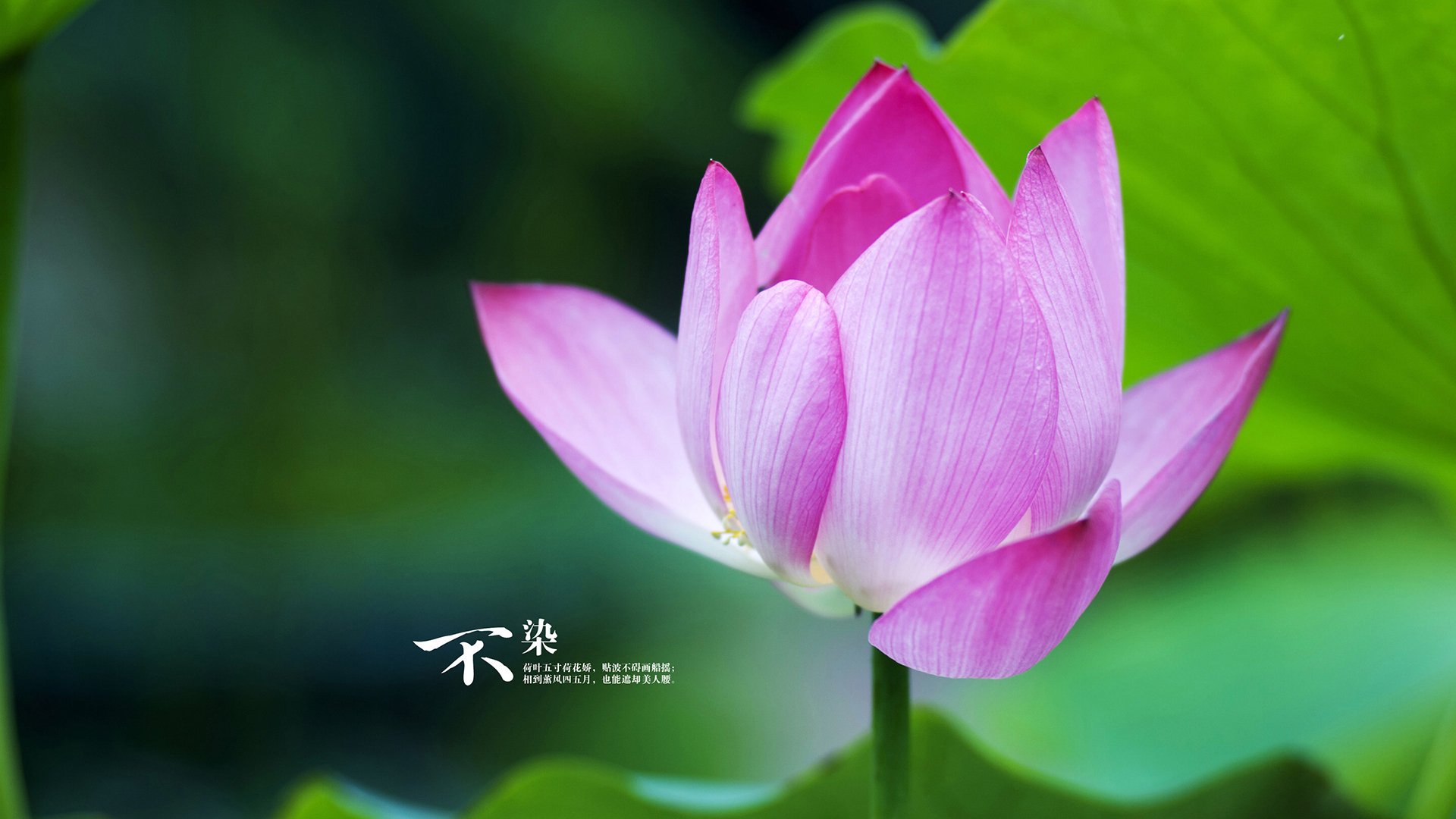 全民健身计划融入养老社区探索新模式,全民健身计划如何实施