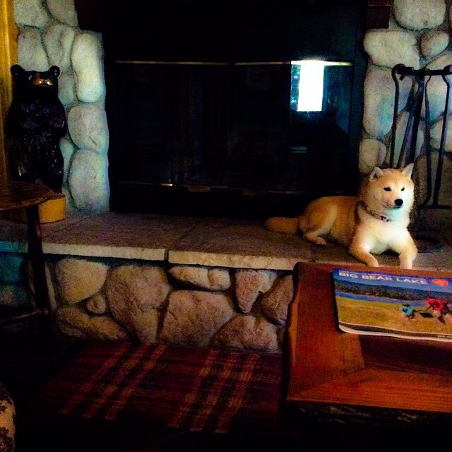 皇家贝蒂斯中场组织提升进攻效率，皇家贝蒂斯主帅