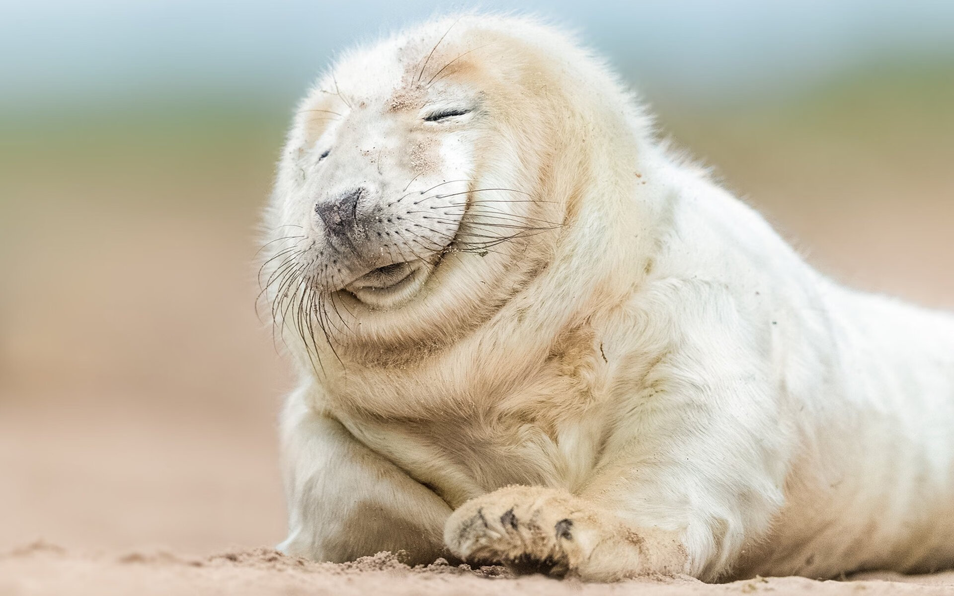 职业联赛失误率控制体系建设滞后,比赛失常