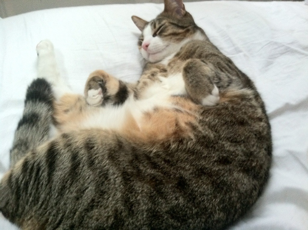 开云体育官网登入-乒乓球世锦赛选手状态分析，乒乓世锦赛有几个项目